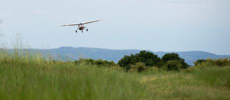 plane taking off for flight